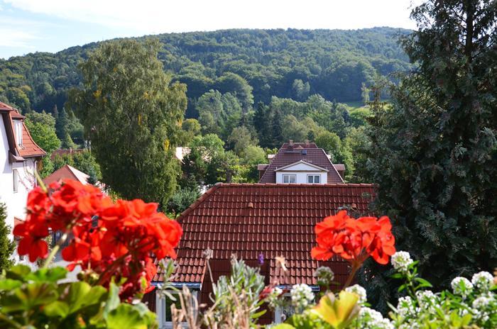 Villa Sonnenseite Jonsdorf Zewnętrze zdjęcie